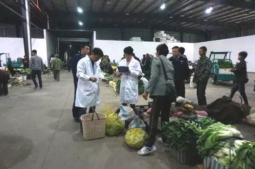 麗水藍(lán)城檢測(cè)助力松陽縣筑牢農(nóng)產(chǎn)品源頭安全防線